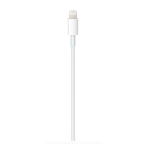 Apple USB-C to Lightning Cable (1 m)