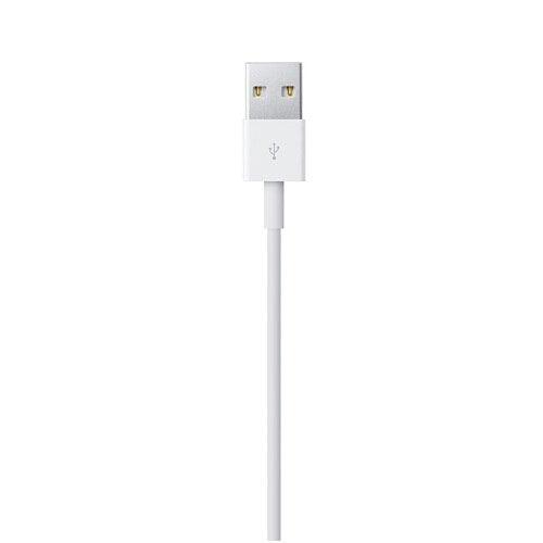 Apple Lightning to USB Cable (0.5 m)