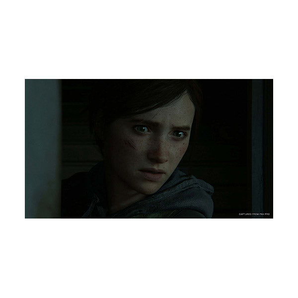 The Last Of Us Part 2 - PS4