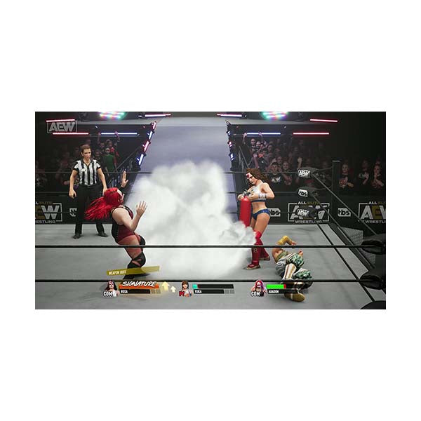 AEW Wrestling: Fight Forever - PS5